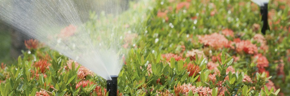 Sprinkler Repair Maitland