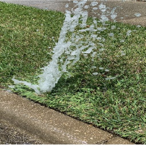 common sprinkler concerns